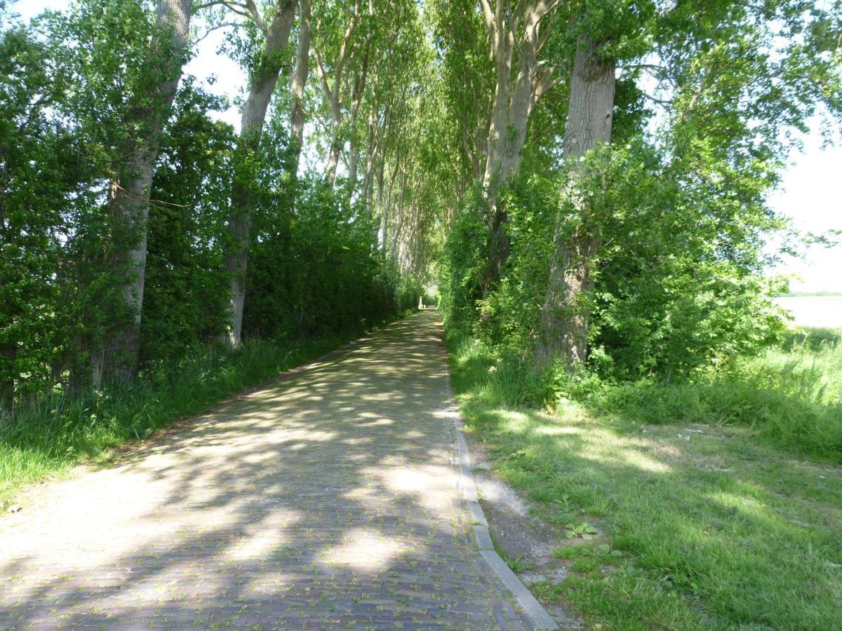 Vakantiewoning Domburg Do31 מראה חיצוני תמונה