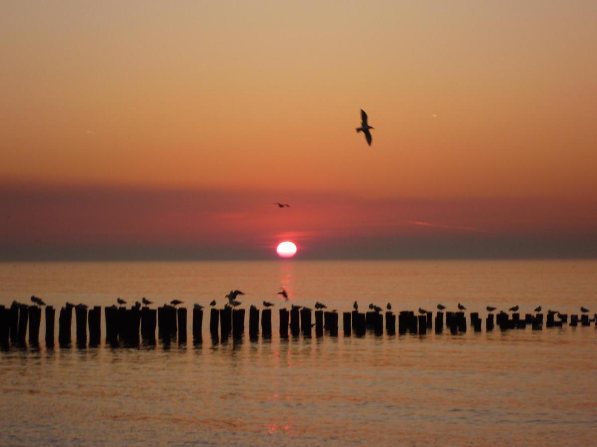 Vakantiewoning Domburg Do31 מראה חיצוני תמונה